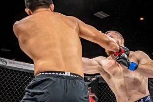 Best MMA Training Gyms in NYC: Top Picks Ultimate Guide to MMA: Training, Techniques, and Top Fighters in The World Best MMA Training Gyms in NYC: Top Picks | Ultimate Guide to MMA: Training, Techniques, and Top Fighters in The World