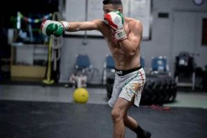 Best MMA Gyms & Training in San Jose | Ultimate Guide to MMA: Training, Techniques, and Top Fighters in The World