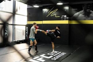 Best MMA Gyms & Training in Riverside Ultimate Guide to MMA: Training, Techniques, and Top Fighters in The World Best MMA Gyms & Training in Riverside | Ultimate Guide to MMA: Training, Techniques, and Top Fighters in The World
