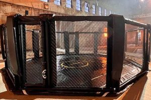 Ultimate MMA Cage Guide: Jaula de MMA Explained | Ultimate Guide to MMA: Training, Techniques, and Top Fighters in The World