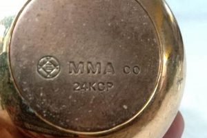 Top MMA Co: Fighters, Events & More | Ultimate Guide to MMA: Training, Techniques, and Top Fighters in The World