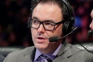 Top Bellator MMA Commentators & Analysts | Ultimate Guide to MMA: Training, Techniques, and Top Fighters in The World