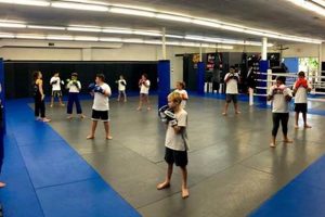 Ultimate Mma North Haven Ultimate Guide to MMA: Training, Techniques, and Top Fighters in The World Ultimate Mma North Haven | Ultimate Guide to MMA: Training, Techniques, and Top Fighters in The World