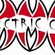 Train MMA at Electric City Gym | Ultimate Guide to MMA: Training, Techniques, and Top Fighters in The World