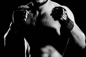 Authentic Khabib Nurmagomedov Posters & Prints Ultimate Guide to MMA: Training, Techniques, and Top Fighters in The World Authentic Khabib Nurmagomedov Posters & Prints | Ultimate Guide to MMA: Training, Techniques, and Top Fighters in The World