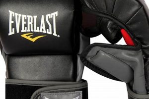Best 7 Ounce MMA Gloves for 2024 Ultimate Guide to MMA: Training, Techniques, and Top Fighters in The World Best 7 Ounce MMA Gloves for 2024 | Ultimate Guide to MMA: Training, Techniques, and Top Fighters in The World