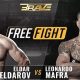 Watch MMA Fights Free: Live & Online | Ultimate Guide to MMA: Training, Techniques, and Top Fighters in The World