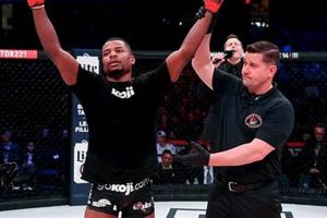 Top Bellator MMA Fighter Stats & Facts | Ultimate Guide to MMA: Training, Techniques, and Top Fighters in The World