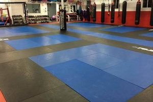 Best MMA Dojo Near Me: Train Like a Pro Ultimate Guide to MMA: Training, Techniques, and Top Fighters in The World Best MMA Dojo Near Me: Train Like a Pro | Ultimate Guide to MMA: Training, Techniques, and Top Fighters in The World