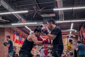 Train Like a Champion | Georges MMA & Boxing Gym Ultimate Guide to MMA: Training, Techniques, and Top Fighters in The World Train Like a Champion | Georges MMA & Boxing Gym | Ultimate Guide to MMA: Training, Techniques, and Top Fighters in The World