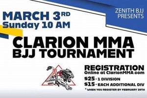 Train at Clarion MMA: Top MMA Gym | Ultimate Guide to MMA: Training, Techniques, and Top Fighters in The World