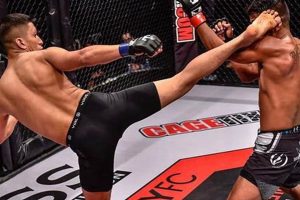 High Mma Ultimate Guide to MMA: Training, Techniques, and Top Fighters in The World High Mma | Ultimate Guide to MMA: Training, Techniques, and Top Fighters in The World