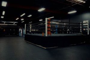 Best MMA Gym in Toronto: Train Like a Pro | Ultimate Guide to MMA: Training, Techniques, and Top Fighters in The World