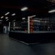 Best MMA Gym in Toronto: Train Like a Pro | Ultimate Guide to MMA: Training, Techniques, and Top Fighters in The World