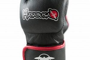 Top Hayabusa MMA Gloves: Guide & Reviews Ultimate Guide to MMA: Training, Techniques, and Top Fighters in The World Top Hayabusa MMA Gloves: Guide & Reviews | Ultimate Guide to MMA: Training, Techniques, and Top Fighters in The World