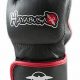 Top Hayabusa MMA Gloves: Guide & Reviews | Ultimate Guide to MMA: Training, Techniques, and Top Fighters in The World
