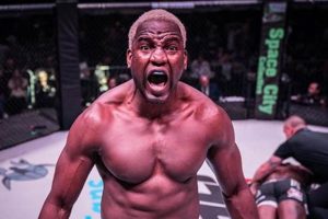 Despaigne Mma Ultimate Guide to MMA: Training, Techniques, and Top Fighters in The World Despaigne Mma | Ultimate Guide to MMA: Training, Techniques, and Top Fighters in The World