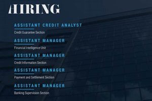 Top MMA Job Bank: Find Your Dream Fight Career | Ultimate Guide to MMA: Training, Techniques, and Top Fighters in The World