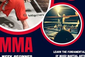 Best MMA Courses: Learn Mixed Martial Arts Ultimate Guide to MMA: Training, Techniques, and Top Fighters in The World Best MMA Courses: Learn Mixed Martial Arts | Ultimate Guide to MMA: Training, Techniques, and Top Fighters in The World