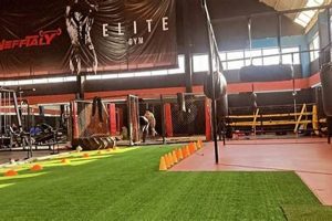 Advanced MMA Analysis: Using XOR | Ultimate Guide to MMA: Training, Techniques, and Top Fighters in The World