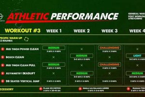 Ultimate MMA Weights Program for Fighters Ultimate Guide to MMA: Training, Techniques, and Top Fighters in The World Ultimate MMA Weights Program for Fighters | Ultimate Guide to MMA: Training, Techniques, and Top Fighters in The World