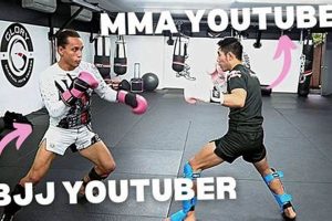 Top MMA Youtubers: Training & Fight Analysis | Ultimate Guide to MMA: Training, Techniques, and Top Fighters in The World