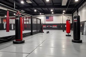 Best MMA Gym & Fitness in Pensacola, FL Ultimate Guide to MMA: Training, Techniques, and Top Fighters in The World Best MMA Gym & Fitness in Pensacola, FL | Ultimate Guide to MMA: Training, Techniques, and Top Fighters in The World