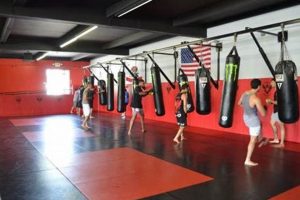 Best MMA Gyms & Training in Los Angeles | Ultimate Guide to MMA: Training, Techniques, and Top Fighters in The World