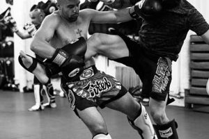 Best MMA Gyms in New Jersey: Top Picks Ultimate Guide to MMA: Training, Techniques, and Top Fighters in The World Best MMA Gyms in New Jersey: Top Picks | Ultimate Guide to MMA: Training, Techniques, and Top Fighters in The World
