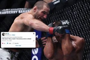 MMA Judge Dave Tirelli: A Fair Scorecard? Ultimate Guide to MMA: Training, Techniques, and Top Fighters in The World MMA Judge Dave Tirelli: A Fair Scorecard? | Ultimate Guide to MMA: Training, Techniques, and Top Fighters in The World