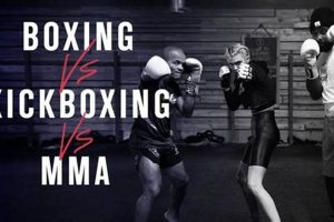MMA vs. Kickboxing: Key Differences Explained | Ultimate Guide to MMA: Training, Techniques, and Top Fighters in The World