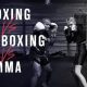 MMA vs. Kickboxing: Key Differences Explained | Ultimate Guide to MMA: Training, Techniques, and Top Fighters in The World