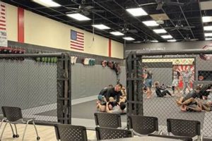 Best Stafford MMA Gyms & Training | Ultimate Guide to MMA: Training, Techniques, and Top Fighters in The World