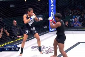 Transgender Athletes in MMA: A Guide | Ultimate Guide to MMA: Training, Techniques, and Top Fighters in The World