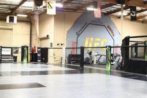 Top Cleveland MMA Gyms: Train Like a Pro Ultimate Guide to MMA: Training, Techniques, and Top Fighters in The World Top Cleveland MMA Gyms: Train Like a Pro | Ultimate Guide to MMA: Training, Techniques, and Top Fighters in The World