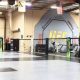 Top Cleveland MMA Gyms: Train Like a Pro | Ultimate Guide to MMA: Training, Techniques, and Top Fighters in The World