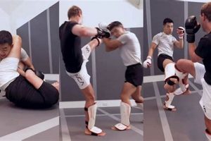 Zuckerberg's MMA Training: Tech CEO's Edge Ultimate Guide to MMA: Training, Techniques, and Top Fighters in The World Zuckerberg's MMA Training: Tech CEO's Edge | Ultimate Guide to MMA: Training, Techniques, and Top Fighters in The World