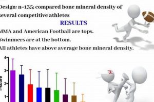 Understanding MMA Density: A Comprehensive Guide | Ultimate Guide to MMA: Training, Techniques, and Top Fighters in The World