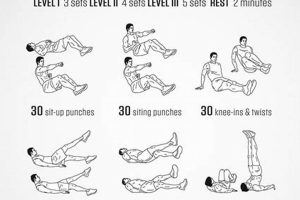 Top MMA Ab Exercises for a Rock-Solid Core Ultimate Guide to MMA: Training, Techniques, and Top Fighters in The World Top MMA Ab Exercises for a Rock-Solid Core | Ultimate Guide to MMA: Training, Techniques, and Top Fighters in The World