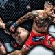 Watch Full Fight Replay MMA: Best MMA Fights | Ultimate Guide to MMA: Training, Techniques, and Top Fighters in The World