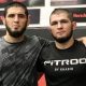Khabib's Brother in the UFC: A Legacy Continues | Ultimate Guide to MMA: Training, Techniques, and Top Fighters in The World