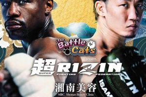 Top Japanese MMA Promotions & Fighters | Ultimate Guide to MMA: Training, Techniques, and Top Fighters in The World