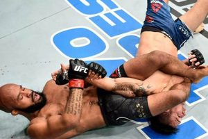 Dominating MMA: Mastering the Art of Submissions | Ultimate Guide to MMA: Training, Techniques, and Top Fighters in The World
