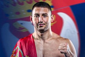 MMA Fighter Stefan Savic: Bio, Stats & Fight History | Ultimate Guide to MMA: Training, Techniques, and Top Fighters in The World