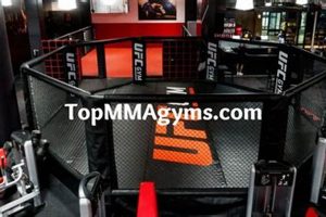 Best MMA Training in Indianapolis: Top Gyms | Ultimate Guide to MMA: Training, Techniques, and Top Fighters in The World