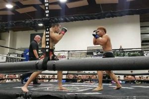 Top Medford MMA Gyms & Training Ultimate Guide to MMA: Training, Techniques, and Top Fighters in The World Top Medford MMA Gyms & Training | Ultimate Guide to MMA: Training, Techniques, and Top Fighters in The World