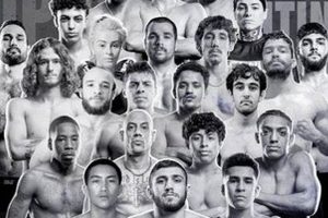 UNF MMA Club: Train & Compete | Ultimate Guide to MMA: Training, Techniques, and Top Fighters in The World