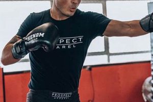 Best MMA Training Clothes & Gear for 2024 | Ultimate Guide to MMA: Training, Techniques, and Top Fighters in The World