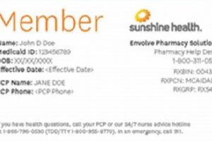 Florida's Sunshine Health MMA: A Wellness Guide Ultimate Guide to MMA: Training, Techniques, and Top Fighters in The World Florida's Sunshine Health MMA: A Wellness Guide | Ultimate Guide to MMA: Training, Techniques, and Top Fighters in The World