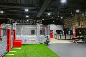 Best MMA Training Gyms &amp; Classes on Long Island | Ultimate Guide to MMA: Training, Techniques, and Top Fighters in The World